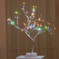 Coquimbo Tree